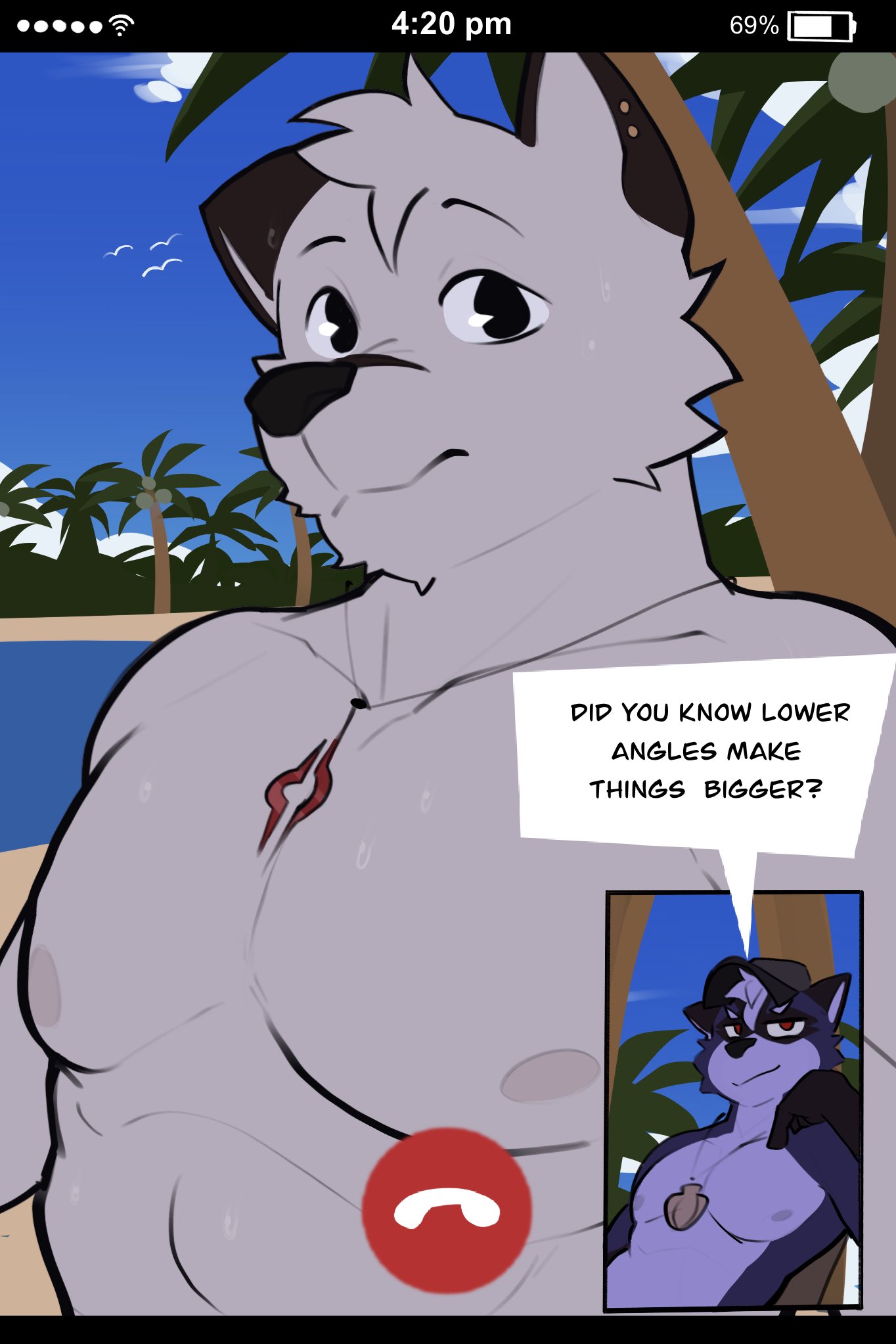 2021 anthro beach camera_view canid canine cellphone day dialogue duo ear_piercing english_text hi_res jewelry male mammal muscular muscular_anthro muscular_male necklace nipples number outside palm_tree pecs phone piercing plant procyonid raccoon rygel_(rygel_spkb) rygel_spkb seashell seaside shell smartphone text tree video_call water