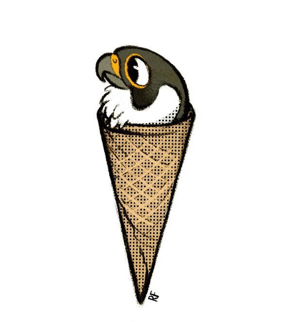 2021 ambiguous_gender avian beak bird cone dessert digital_drawing_(artwork) digital_media_(artwork) falcon falconid feathers feral food grey_body grey_feathers hooked_beak humor ice_cream ice_cream_cone peregrine_falcon portrait pun signature simple_background skia solo toony visual_pun where_is_your_god_now white_background white_body white_feathers