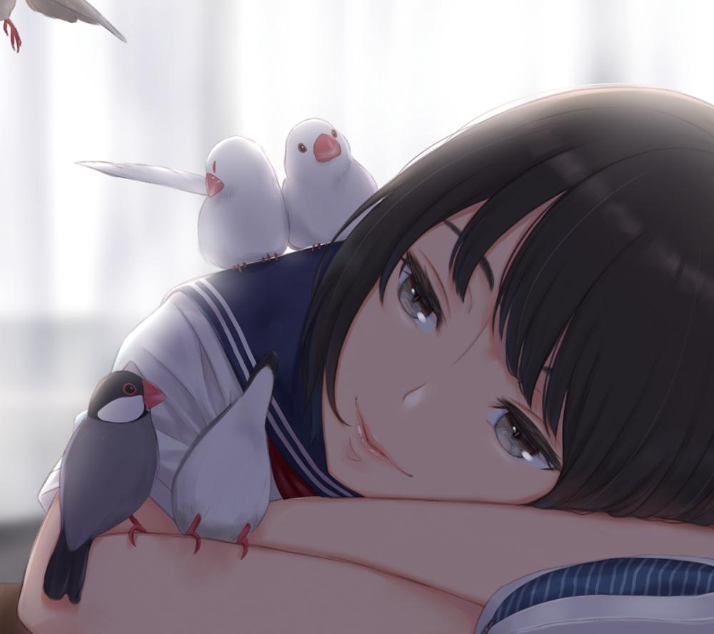 1girl animal_on_arm animal_on_shoulder arm_pillow bangs bird bird_on_arm bird_on_shoulder black_hair blue_sailor_collar blurry blurry_background bob_cut close-up commentary curtains depth_of_field flying head_down java_sparrow kyak_bamboo lips looking_at_animal original preening sailor_collar school_uniform serafuku short_hair short_sleeves smile solo white_bird