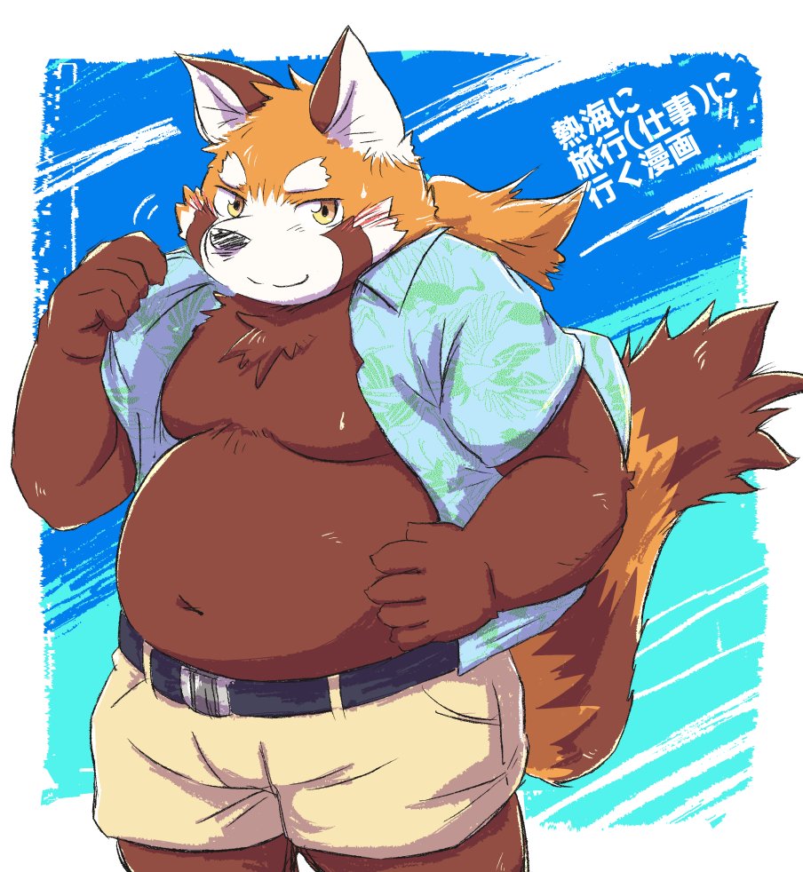 2021 ailurid anthro belly black_nose blush bottomwear clothed clothing humanoid_hands japanese_text kemono kota&acute; male mammal moobs navel open_clothing open_shirt open_topwear overweight overweight_male red_panda shirt shorts solo text topwear