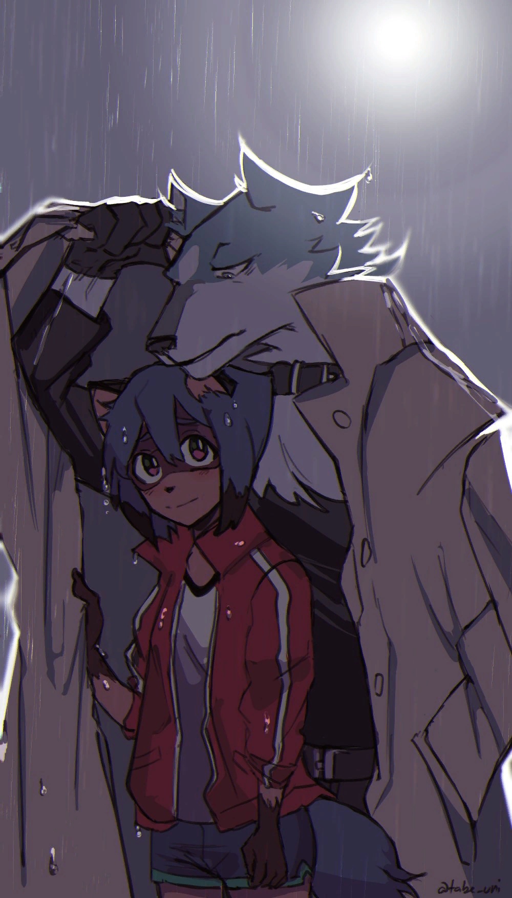 anthro belt blue_eyes blush bottomwear brand_new_animal brown_body brown_fur canid canine canis clothing coat collar dripping duo embrace female fluffy fluffy_tail fur hand_in_pocket hi_res hug jacket male male/female mammal michiru_kagemori pockets procyonid raccoon raccoon_dog romantic romantic_ambiance romantic_couple shirou_ogami shorts smile standing studio_trigger tanuki topwear trenchcoat unknown_artist wet wet_clothing white_body white_fur wolf