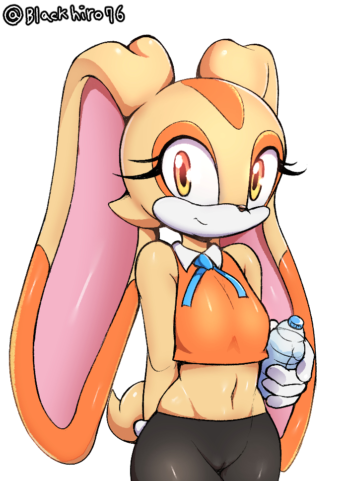 aged_up anthro breasts camel_toe clothed clothing cream_the_rabbit female kyodashiro lagomorph leporid mammal rabbit sega simple_background small_breasts solo sonic_the_hedgehog_(series) white_background