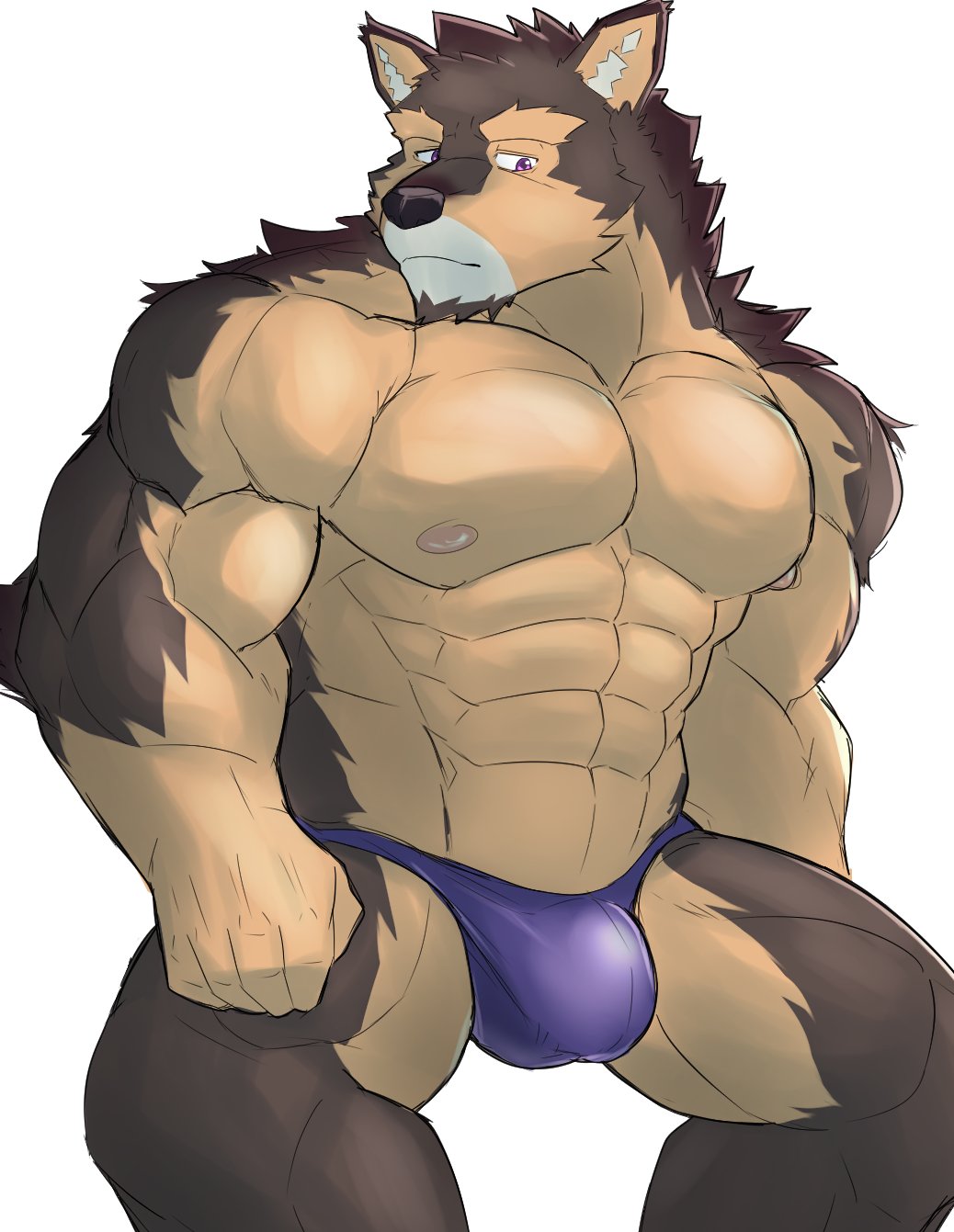 2021 anthro black_nose brown_body brown_fur bulge canid canine canis clothed clothing domestic_dog fur hi_res lifewonders live-a-hero male mammal multicolored_body multicolored_fur muscular muscular_anthro muscular_male nipples pubraseer purple_eyes serenaught simple_background solo standing tan_body tan_fur underwear underwear_only video_games white_background white_body white_fur