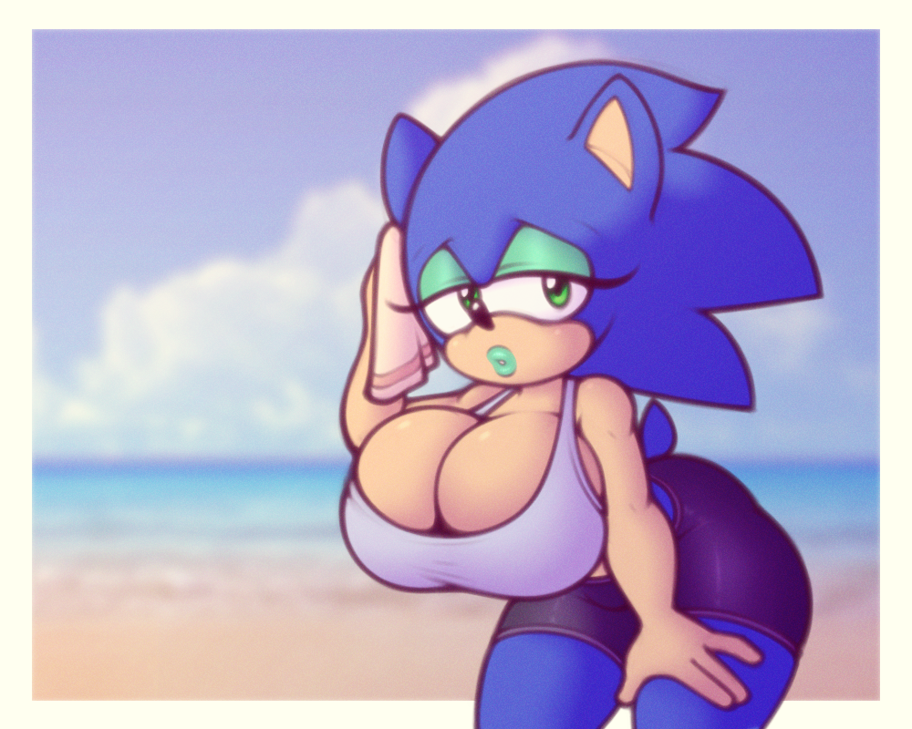 5:4 anthro beach big_breasts blue_body blue_fur blue_hair breasts cleavage clothed clothing crossgender eulipotyphlan female fur hair hedgehog mammal mtf_crossgender seaside sega solo sonic_the_hedgehog sonic_the_hedgehog_(series) stunnerpony