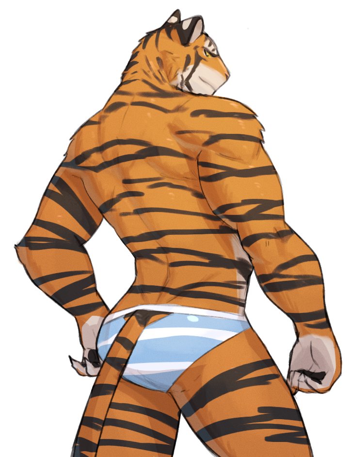 2021 anthro big_muscles butt clothing felid fur furgonomics jrjresq low-angle_view male mammal muscular muscular_anthro muscular_male pantherine rear_view simple_background solo standing tail_clothing tiger tuft underwear white_background