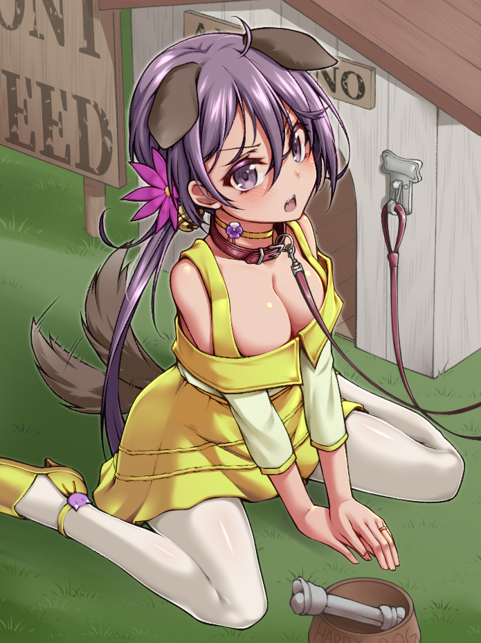 1girl afterimage akebono_(kancolle) animal_collar animal_ears bell blush bone bowl breasts cleavage collar dog_ears dog_tail doghouse flower hair_bell hair_between_eyes hair_flower hair_ornament high_heels jewelry jingle_bell kantai_collection leash long_hair long_sleeves medium_breasts official_alternate_costume open_mouth pantyhose pet_bowl pink_flower purple_eyes purple_hair ring side_ponytail sitting solo tail wariza wedding_band white_legwear yellow_flower yuki_to_hana
