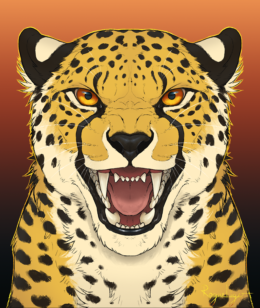 2021 amber_eyes ambiguous_gender black_lips black_nose cheetah digital_media_(artwork) felid feline feral fur lips looking_at_viewer mammal open_mouth rogueliger solo spots spotted_body spotted_fur teeth tongue whiskers