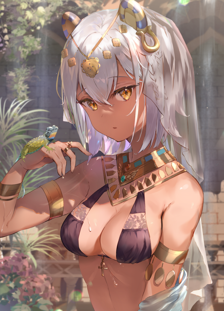 1girl animal_ears ankh arm_up armlet bare_shoulders bikini black_bikini blurry bracelet breasts cleavage collar dark-skinned_female dark_skin depth_of_field egyptian_clothes fake_animal_ears flower hair_between_eyes headdress jewelry lizard looking_at_viewer medium_breasts omelet_tomato original parted_lips plant red_flower revealing_clothes revision ring short_hair solo swimsuit upper_body veil wet white_hair yellow_eyes