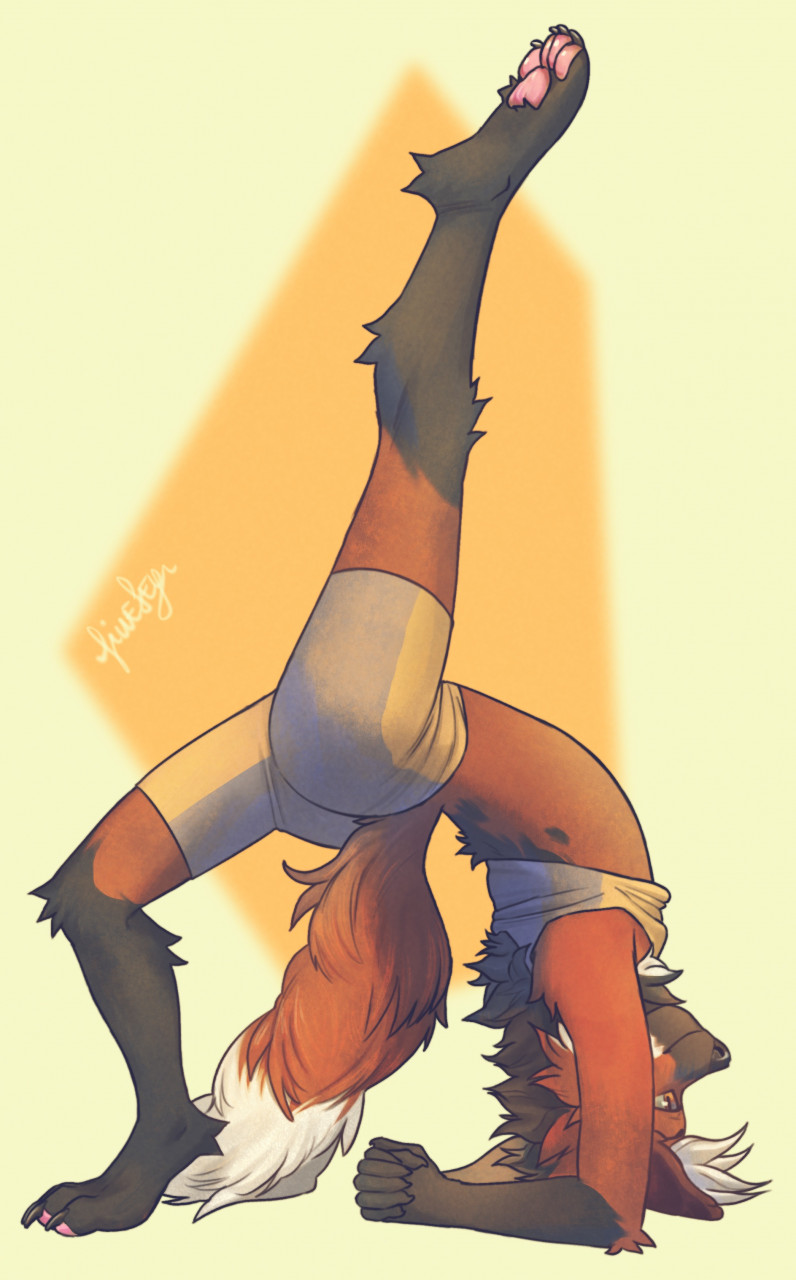 anthro black_body black_fur bottomwear canid canine clothing fiuefey flexible fox fur hi_res inner_ear_fluff male mammal orange_body orange_eyes orange_fur pants pawpads raised_leg shirt shorts signature simple_background smile solo tank_top topwear tuft upside_down yoga yoga_pants