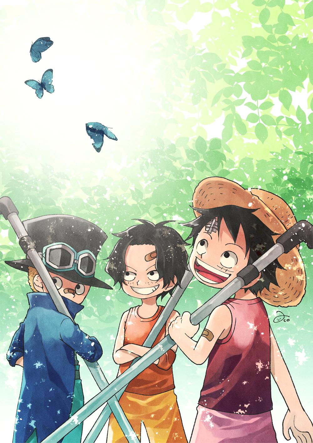 3boys aco_peda bandaid bandaid_on_arm bandaid_on_face black_hair blonde_hair blue_coat bug butterfly child coat commentary_request feathers freckles goggles goggles_on_headwear hat highres holding looking_at_viewer looking_up monkey_d._luffy multiple_boys one_piece orange_shorts orange_tank_top pink_shorts portgas_d._ace red_tank_top sabo_(one_piece) short_hair shorts signature smile straw_hat tank_top top_hat