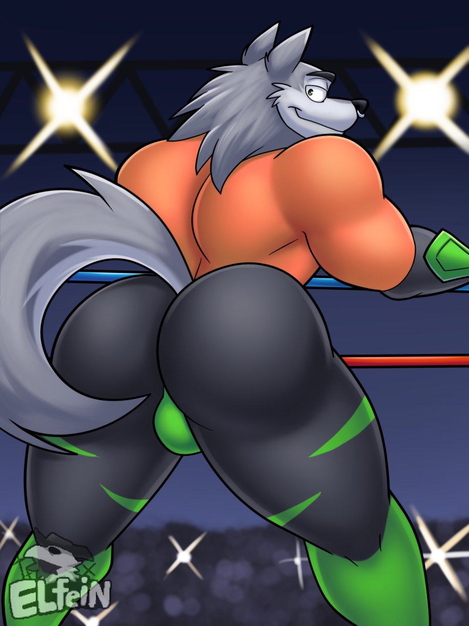 animal_head anthro big_butt bottomwear bulge butt canid canine canis clothing elfein fighting_ring for_a_head fur grey_body grey_fur hi_res humanoid lobo looking_back male mammal muscular muscular_male rear_view solo wolf