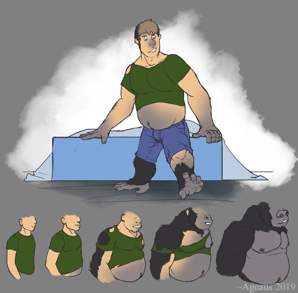 ageaus anthro ape barefoot bed belly black_body black_fur brown_hair clothed clothing confusion feet fur furniture gorilla hair haplorhine human human_to_anthro male mammal mid_transformation moobs navel nipples overweight overweight_anthro overweight_male primate sequence slightly_chubby slightly_chubby_male solo species_transformation teeth topless torn_clothing transformation weight_gain