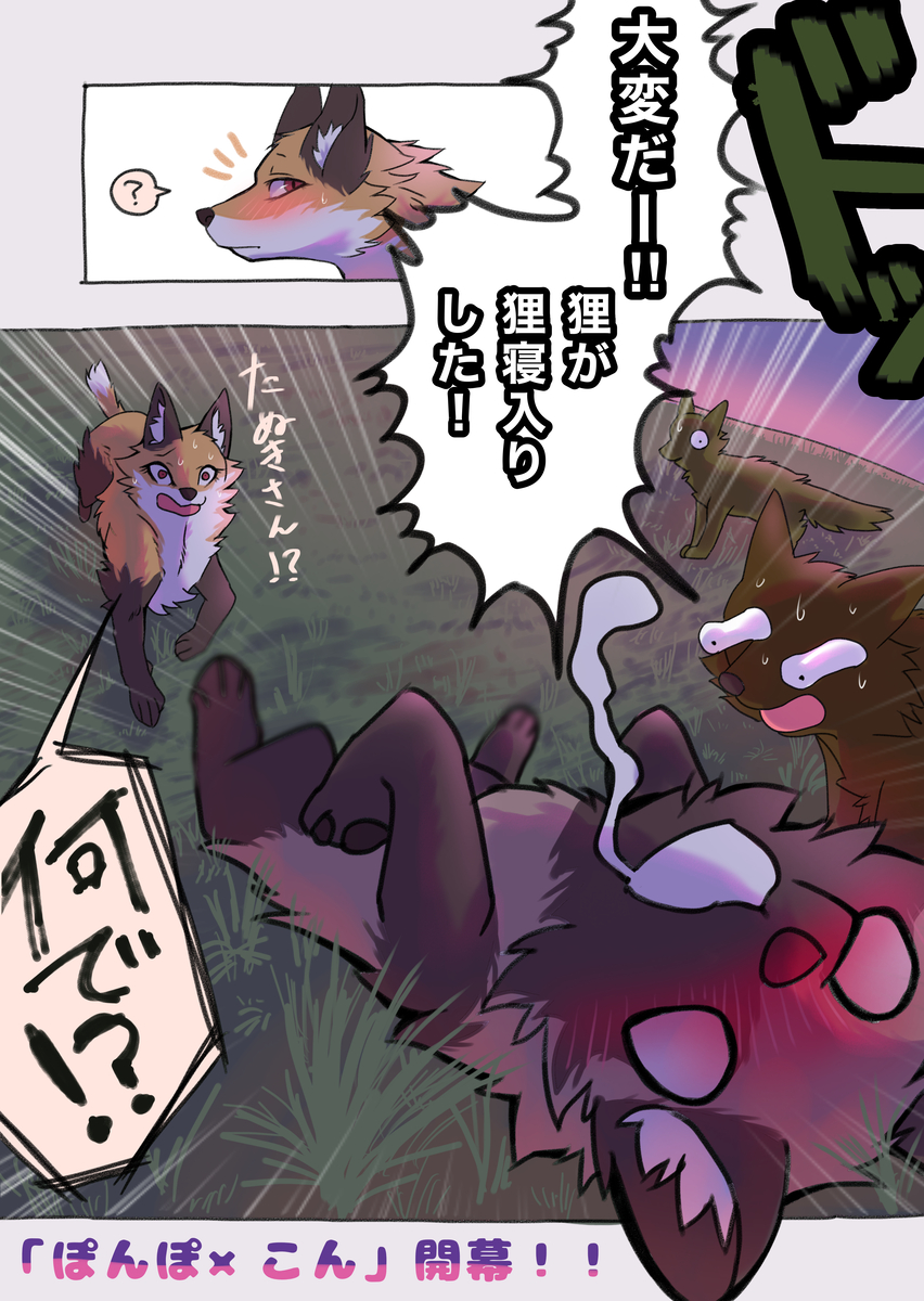 2023 ambiguous_gender black_nose brown_body brown_ears brown_fur canid canine cheek_tuft comic dialogue digital_media_(artwork) facial_tuft feral fluffy flustered fox fur heavy_blush hi_res inner_ear_fluff japanese_text kurumilky6 mammal marimo_(kurumilky6) mikan_(kurumilky6) multicolored_body multicolored_fur orange_body orange_fur quadruped raccoon_dog speech_bubble tan_body tan_fur tanuki text tongue translation_request tuft two_tone_body two_tone_fur white_body white_fur white_inner_ear_fluff