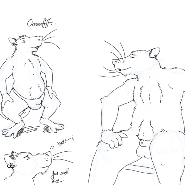 2020 anthro balls bulge clothing english_text eyes_closed genitals humanoid_hands jads_l_rutan male mammal multiple_poses murid murine pose rat rodent simple_background sitting sniffing solo text underwear white_background