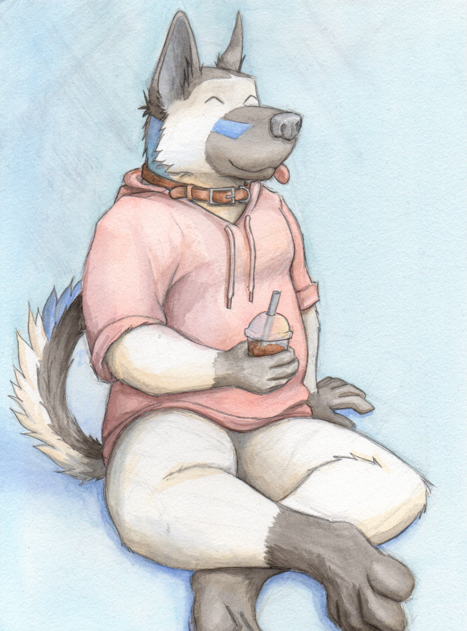 anthro beverage canid canine canis clothing coffee collar crossed_legs domestic_dog fur german_shepherd herding_dog hi_res male mammal painting_(artwork) pastoral_dog pink_clothing pink_shirt pink_topwear raised_tail shirt solo tongue tongue_out topwear traditional_media_(artwork) tuubi watercolor_(artwork) white_body white_fur