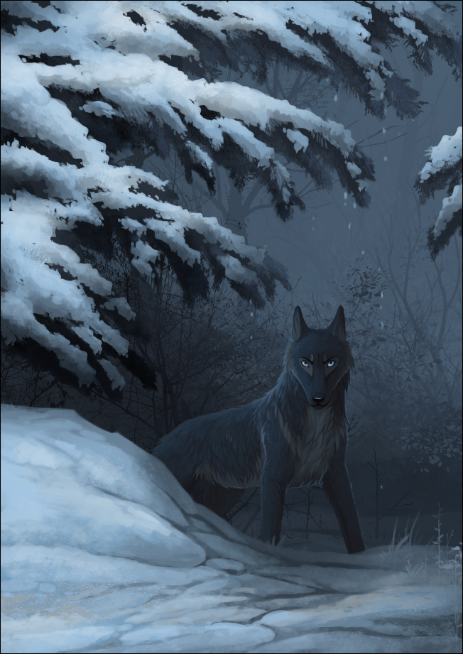 ambiguous_gender black_body black_fur black_nose blue_eyes canid canine canis detailed_background feral fur looking_at_viewer mammal night oneminutesketch outside snow solo standing wolf