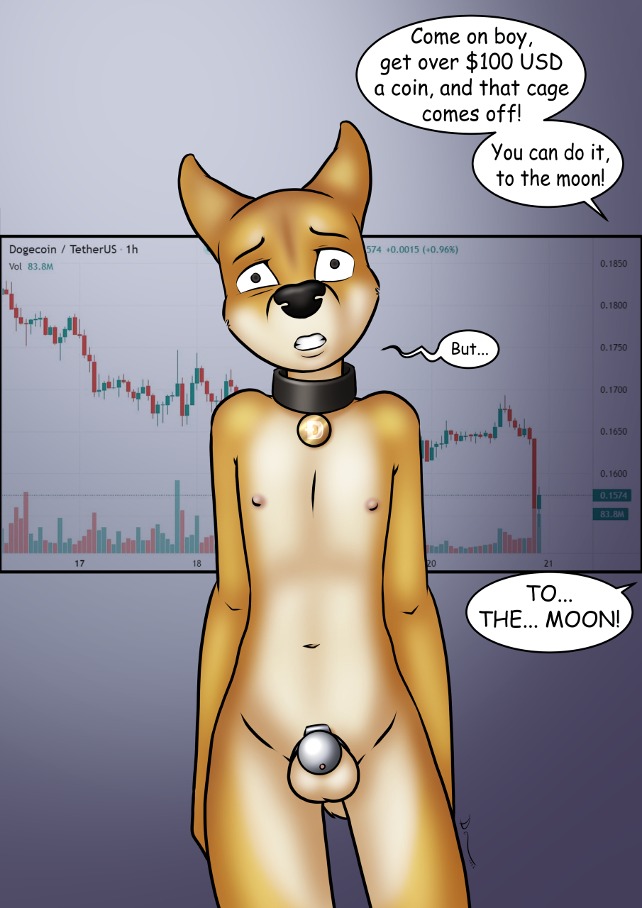 anthro balls black_nose canid canine canis chastity_cage chastity_device collar collar_tag cryptocurrency danaume dialogue doge dogecoin dogelore domestic_dog english_text eyebrows genitals graph hi_res looking_at_viewer male mammal meme navel nipples nude offscreen_character shiba_inu solo speech_bubble spitz standing teeth text worried worried_face worried_look