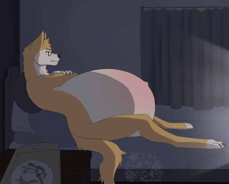 animated anthro bed belly big_belly canid canine canis dialogue dingo dire_wolf fetus furniture hyper hyper_belly hyper_pregnancy male mammal plaguetastic pregnant pregnant_male server_dingo solo television unborn_kicking xray_view