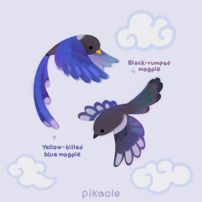 ._. animal animal_focus arrow_(symbol) artist_name beak bird closed_mouth cloud commentary english_commentary english_text flying grey_background magpie no_humans original pikaole simple_background