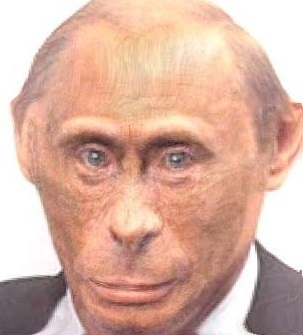 anonymous_artist anthro dictator edit haplorhine looking_at_viewer low_res male mammal monkey murderer photo_manipulation primate russia russian scumbag simple_background solo vladimir_putin war_criminal white_background