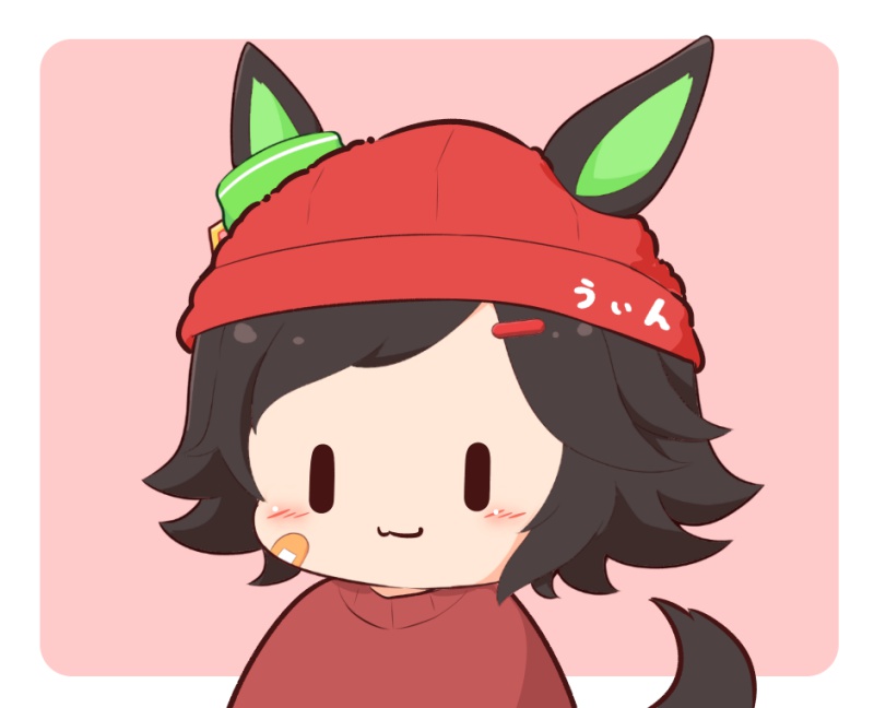 1girl :3 animal_ears bandaid bandaid_on_cheek bandaid_on_face beanie black_hair blush_stickers chibi closed_mouth ears_through_headwear gomashio_(goma_feet) hair_ornament hairclip hat horse_ears horse_girl horse_tail looking_at_viewer pink_background red_headwear red_sweater short_hair solo sweater swept_bangs tail two-tone_background umamusume upper_body white_background winning_ticket_(umamusume) |_|