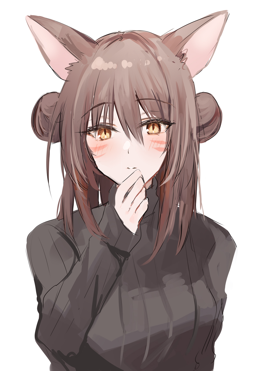 1girl animal_ear_fluff animal_ears black_sweater blush breasts brown_eyes brown_hair cat_ears double_bun facial_mark final_fantasy final_fantasy_xiv hair_between_eyes hair_bun hand_up highres kinona long_sleeves looking_at_viewer medium_breasts miqo'te parted_lips ribbed_sweater simple_background sleeves_past_wrists solo sweater turtleneck turtleneck_sweater upper_body warrior_of_light_(ff14) whisker_markings white_background
