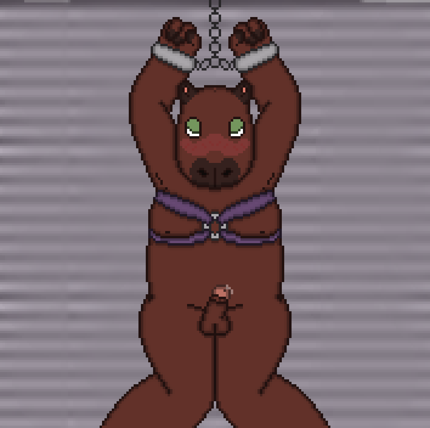 3_fingers anthro bdsm bent_legs bodily_fluids bondage bound brown_body brown_fur capybara caviid chubby_anthro cuff_(restraint) dripping embarrassed fingers fur genital_fluids genitals green_eyes hands_tied harness head_down humanoid looking_at_viewer male mammal nipples penis precum precum_drip restraints rodent shy slightly_chubby small_penis solo solo_focus submissive toridiaz