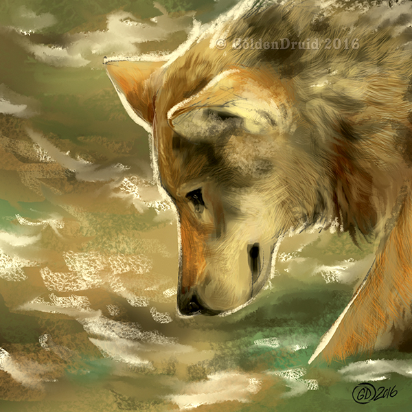 2016 ambiguous_gender canid canine canis digital_media_(artwork) feral fur goldendruid grey_body grey_fur mammal partially_submerged solo water wolf