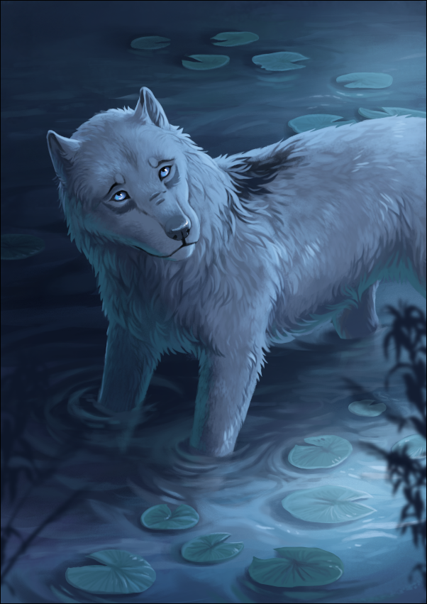 2022 ambiguous_gender black_border black_nose blue_eyes border canid canine canis feral fur mammal oneminutesketch partially_submerged solo white_body white_fur wolf