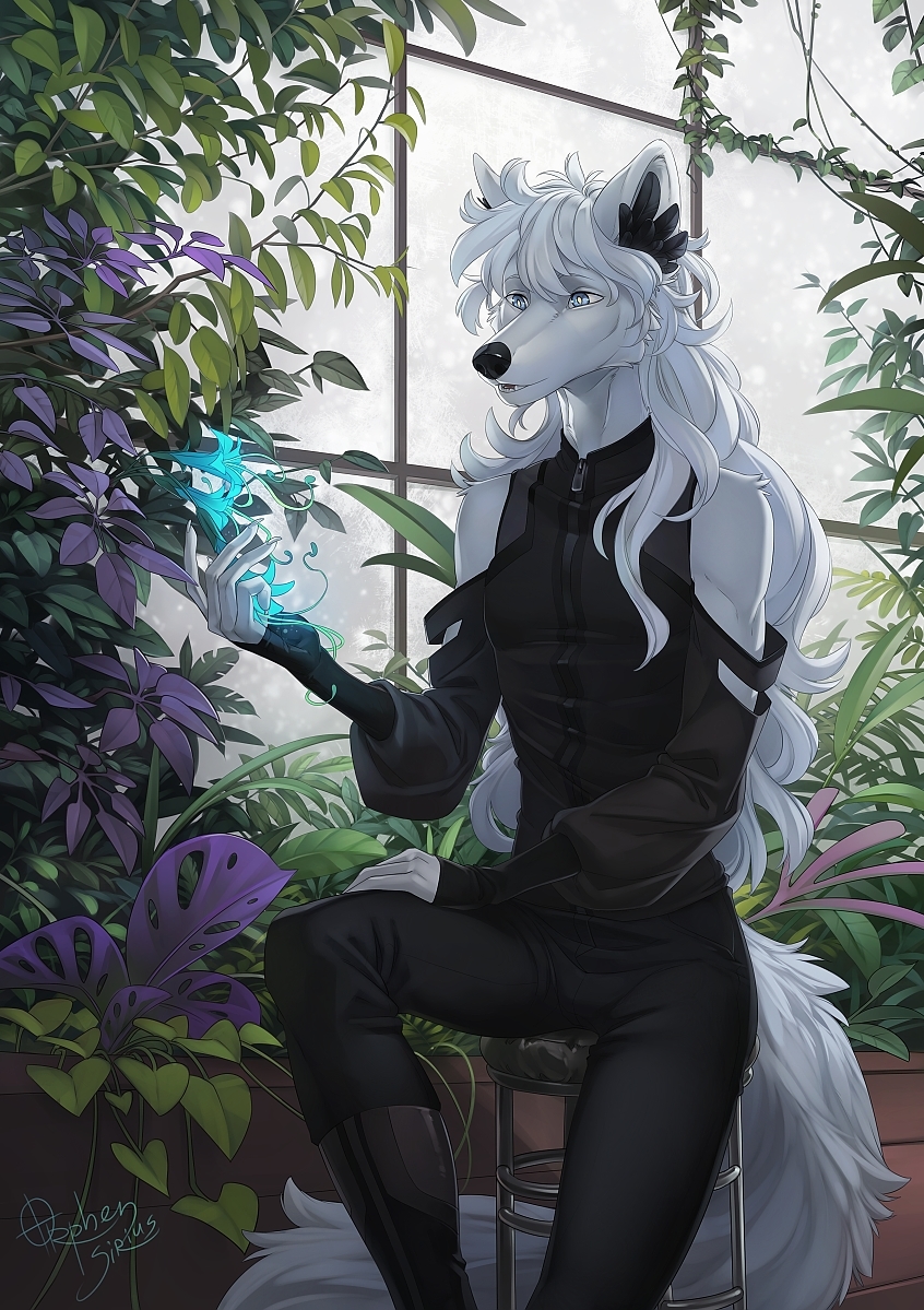 2019 5_fingers anthro black_nose blue_eyes canine chair clothed clothing day detailed_background digital_media_(artwork) flower fur hair inside leaf male mammal open_mouth orphen-sirius pale_eyes plant sitting solo teeth white_fur white_hair wolf