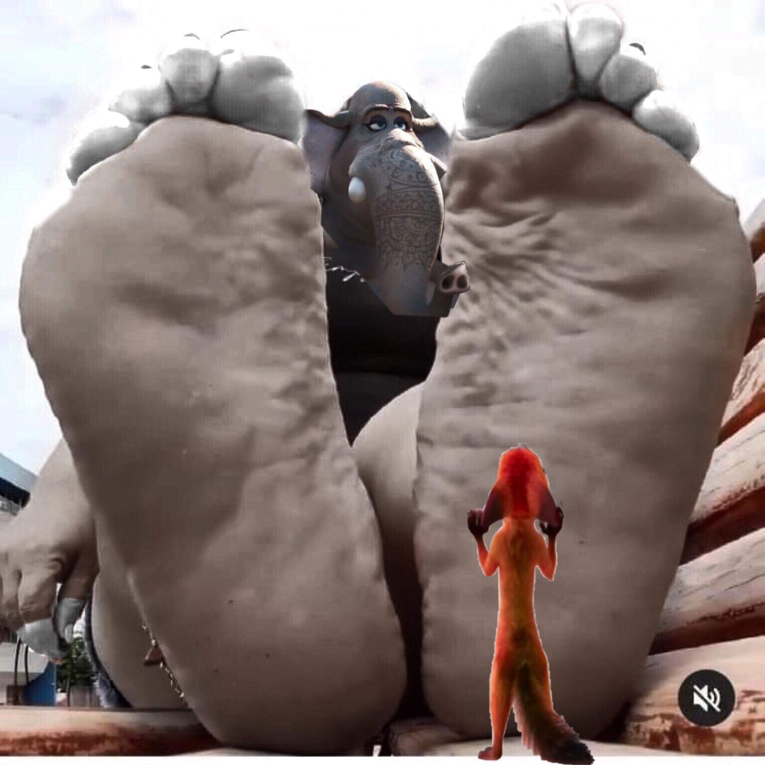 anthro big_feet canid canine disney duo edit elephant elephantid feet female female/female foot_fetish foot_lick foot_play fox hi_res huge_feet humanoid licking male male/male mammal nangi nick_wilde nude photo_manipulation photomorph proboscidean soles tongue tongue_out zootopia