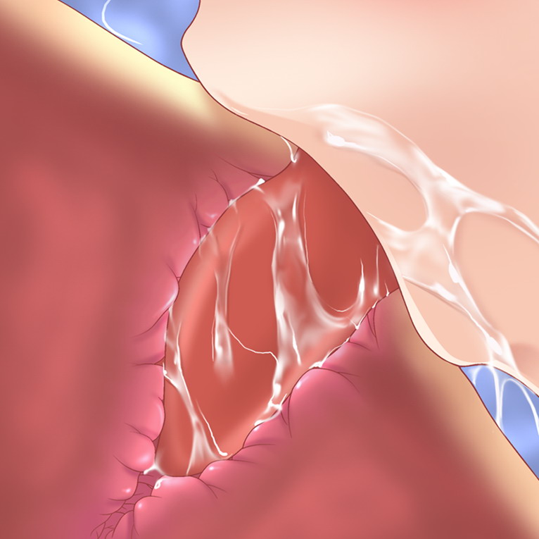 analingus anilingus cross_section femdom futa_on_male futanari ideal_family rimjob rimming saliva studio_sunadokei tongue youkoso_chinshusou