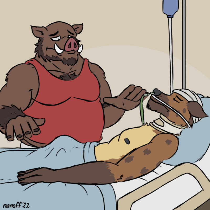 anthro beard bed clothing duo erection facial_hair furniture hospital_bed hyaenid loss lying lying_on_bed male mammal meme musclegut muscular muscular_male nanoff on_bed shirt spotted_hyena suarez_(nanoff) suid suina sus_(pig) tank_top topwear walter_(nanoff) wild_boar