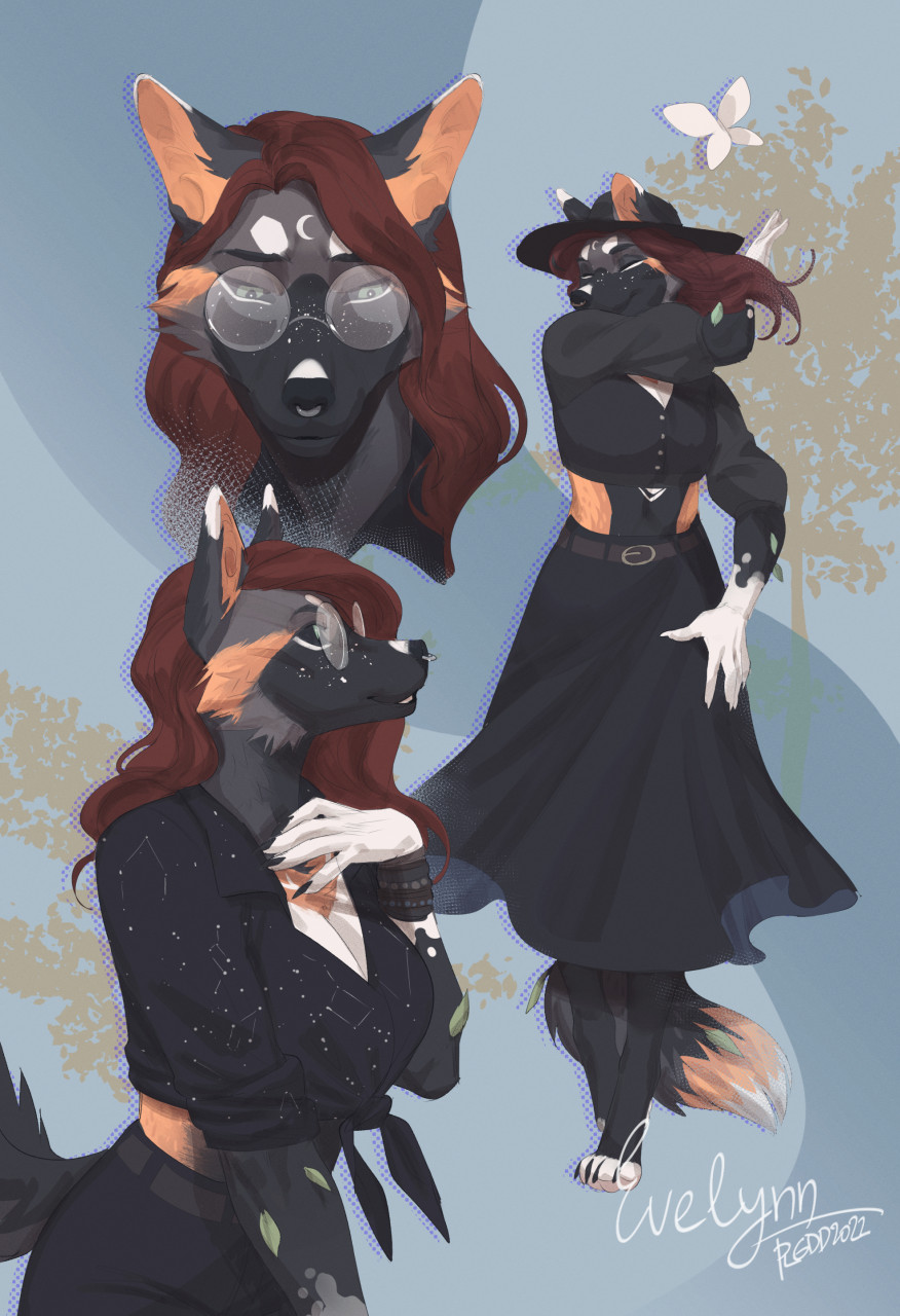 2022 4_toes 5_fingers anthro black_body black_fur breasts brown_hair canid canine clothed clothing digital_media_(artwork) feet female fingers fur grey_body grey_fur hair hi_res mammal plgdd solo standing toes
