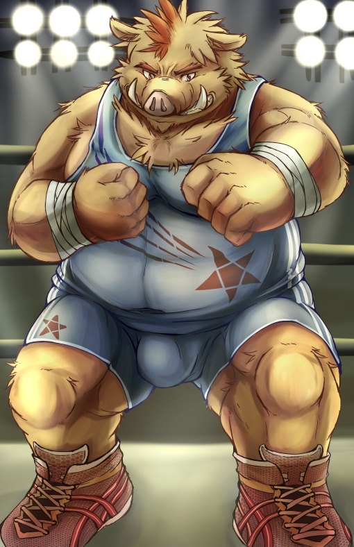 2011 anthro bandaged_arm belly big_belly biped brown_body brown_fur bulge fighting_ring fur humanoid_hands kemono male mammal overweight overweight_male solo suid suina sus_(pig) wild_boar wrestling_singlet zen_(kemono_artist)