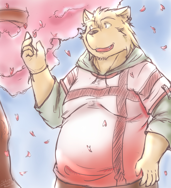 2018 anthro belly big_belly black_nose brown_body brown_fur canid canine canis cherry_blossom cherry_blossom_tree cherry_tree clothing domestic_dog fruit_tree fur hoodie humanoid_hands kemono male mammal outside overweight overweight_male plant topwear tree zen_(kemono_artist)