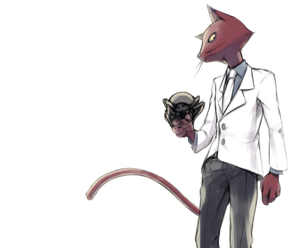 anthro arachnid arthropod black_eyes black_tie_(suit) bottomwear cartoon_network classy clothed clothing coat courage_the_cowardly_dog domestic_cat felid feline felis feral frown fur holding_animal holding_another jacket katz_(courage_the_cowardly_dog) looking_aside looking_away male mammal necktie pants purple_ears purple_nose red_body red_fur shirt simple_background solo spider standing suit topwear unknown_artist whiskers white_background white_tuxedo yellow_sclera