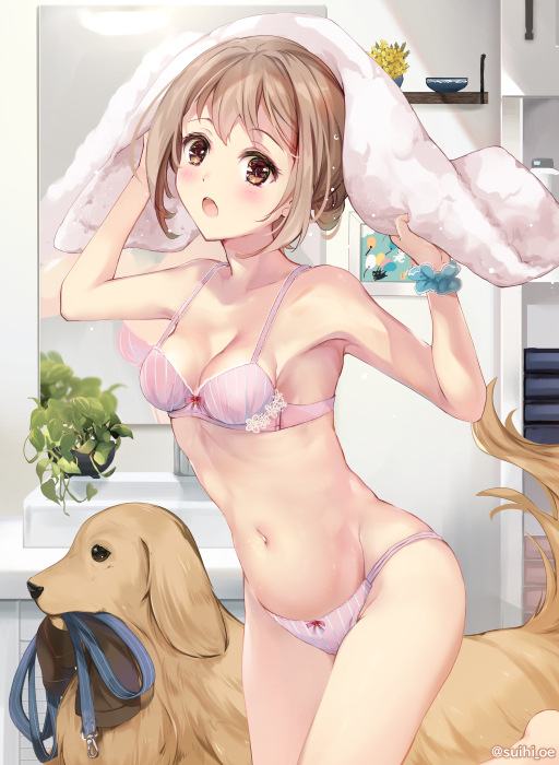 1girl :o animal arm_up banned_artist bare_arms bare_shoulders blue_scrunchie blush bow bow_bra bow_panties bra breasts brown_eyes brown_hair cleavage collarbone commentary_request dog groin hand_up holding holding_towel indoors leash looking_at_viewer medium_breasts mouth_hold navel open_mouth original panties pink_bra pink_panties scrunchie striped striped_bra striped_panties suihi teeth towel twitter_username underwear underwear_only upper_teeth vertical-striped_bra vertical-striped_panties vertical_stripes wrist_scrunchie