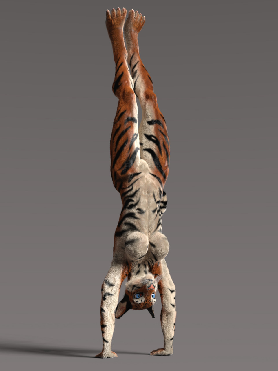 3d_(artwork) 4_toes abs anthro athletic athletic_female bengal_tiger big_eyes black_ears blue_eyes breasts curled_tail digital_media_(artwork) digitigrade earthclan3d facial_markings featureless_breasts feet felid female fur glistening glistening_body glistening_fur grey_background handstand head_markings hi_res mammal markings orange_body orange_fur pantherine pink_nose piper_(earthclan) pointed_feet simple_background solo straight_legs striped_arms striped_body striped_chest striped_face striped_fur striped_legs striped_markings striped_tail stripes tail_markings three-quarter_view tiger toes ventral_groove white_body white_breasts white_fur white_inner_ear white_whiskers