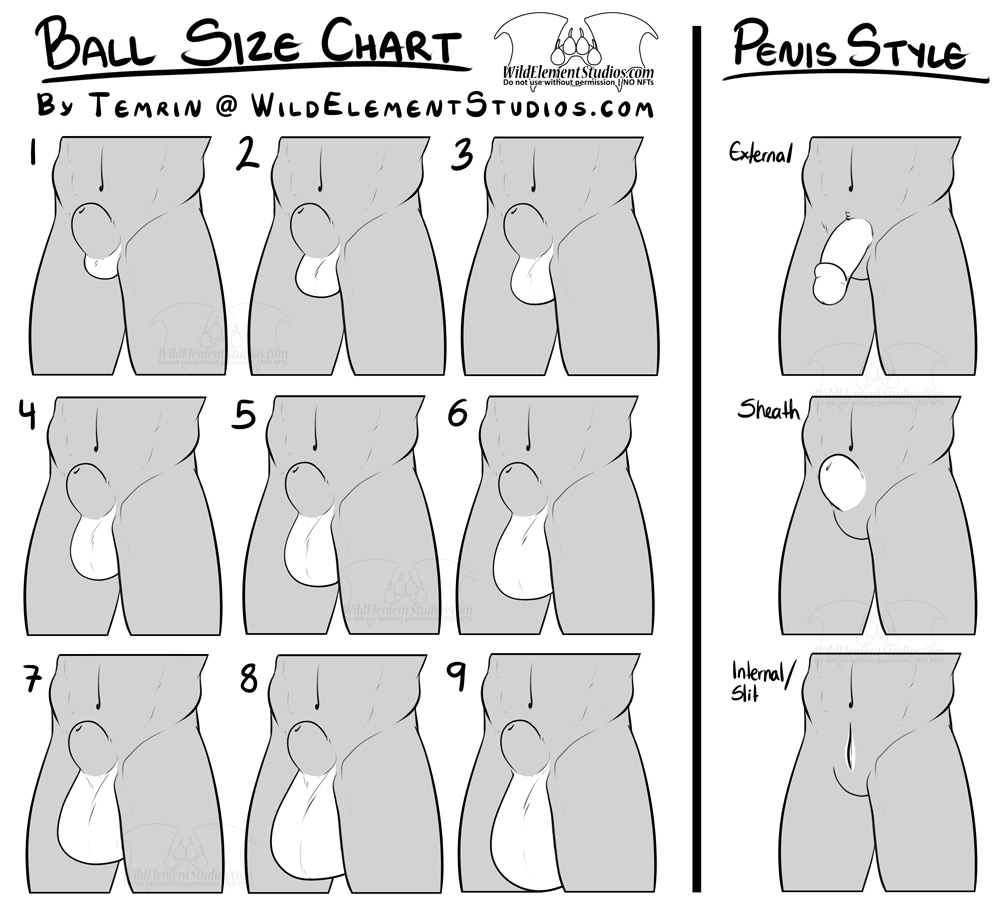 animal_genitalia anthro artist balls chart external free_to_use furry genitals internal invalid_tag monochrome nsfw penis sheath size_chart temrin text url