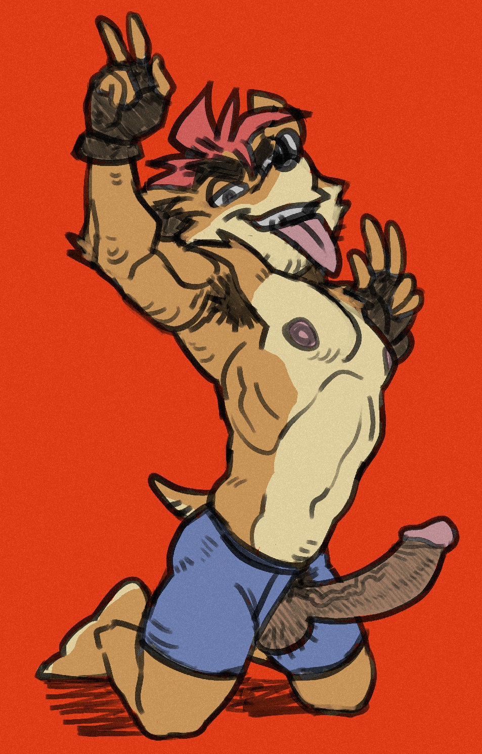 activision anthro balls bandicoot crash_bandicoot crash_bandicoot_(series) erection genitals gesture hi_res humanoid_genitalia humanoid_penis male mammal marsupial penis penis_through_fly poking_out red_background simple_background solo tomayto_(tuhmayto) tongue tongue_out v_sign video_games