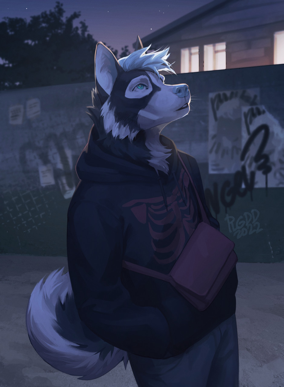 2022 anthro black_body black_fur blue_eyes blue_nose canid canine canis clothed clothing detailed_background digital_media_(artwork) domestic_dog fur hair hi_res husky male mammal night nordic_sled_dog outside plgdd sky solo spitz star starry_sky white_hair