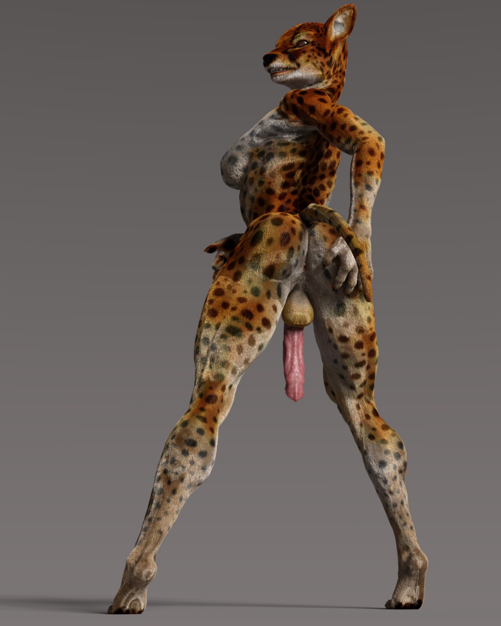 3d_(artwork) 4:5 5_fingers 5_toes animal_genitalia animal_penis anthro anus arched_back big_penis black_nose breasts butt butt_pose cheetah cinder_(earthclan) digital_media_(artwork) digitigrade earthclan3d feet felid feline feline_penis fingers flaccid fur genitals glistening glistening_genitalia glistening_penis grey_background gynomorph hand_on_butt hi_res intersex looking_back mammal nipples nude penile_spines penis pink_anus pink_penis pose red_eyes side_boob simple_background solo spots spotted_body spotted_fur spread_legs spreading toes wide_stance yellow_body yellow_fur