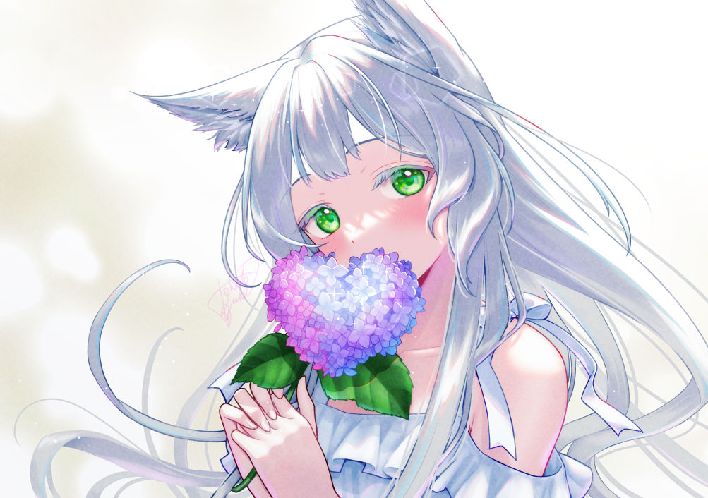 1girl animal_ear_fluff animal_ears arknights blush cat_ears cat_girl covering_mouth flower green_eyes heart holding holding_flower hydrangea long_hair looking_at_viewer rosmontis_(arknights) solo tokifuji_kougetsu upper_body white_hair