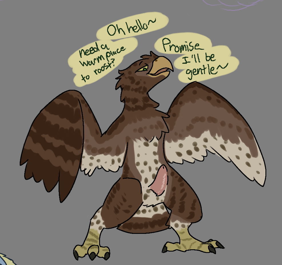 accipitrid accipitriform auvris_(ethecalvampire) avian bird digital_media_(artwork) english_text erection ethecalvampire feathers feet genitals male nude penis presenting semi-anthro smile smug solo speech_bubble spread_wings standing talons tapering_penis text three-quarter_view toes toony wings