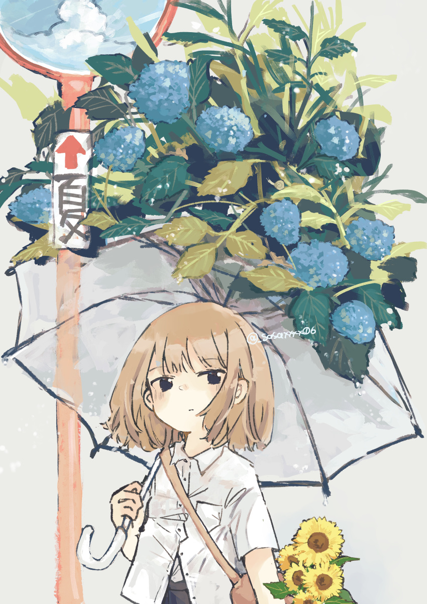 1girl absurdres black_eyes brown_hair flower highres hydrangea looking_at_viewer original sasaxxxx06 short_hair solo sunflower transparent transparent_umbrella umbrella