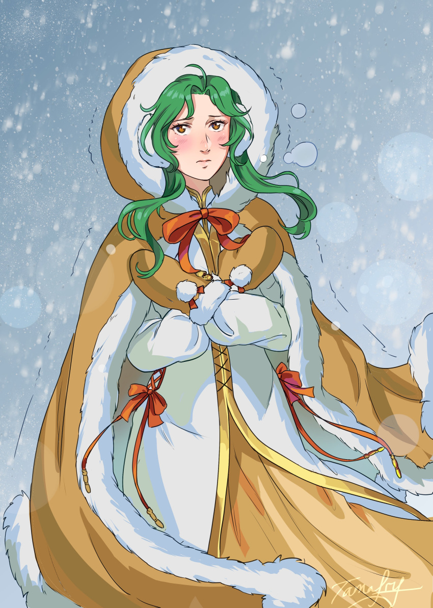 1girl absurdres artist_name blue_sky brown_coat brown_eyes brown_mittens closed_mouth coat commentary elincia_ridell_crimea english_commentary eyelashes fire_emblem fire_emblem:_path_of_radiance fur-trimmed_coat fur_trim green_hair highres long_hair mittens outdoors signature sky snowing solo tamafry trembling
