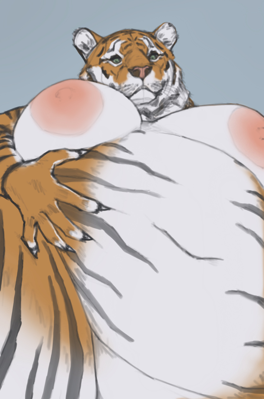 absurd_res anthro areola belly belly_grab big_areola big_belly big_breasts breasts curvy_figure felid female fur hi_res looking_at_viewer mammal nipples nude obese overweight pantherine simple_background solo thiccomode thick_thighs tiger voluptuous wide_hips