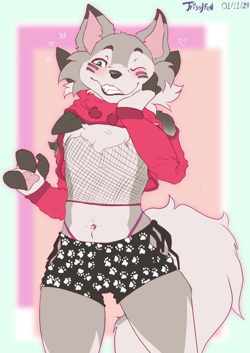 anthro blush bodily_fluids bottomwear clothed clothing crop_top crossdressing fishnet fur generation_7_pokemon girly hi_res hotpants lycanroc male mammal midriff navel nintendo pokemon pokemon_(species) private_(twinkleroc) shirt shorts simple_background smile solo tail teeth topwear trissyfen