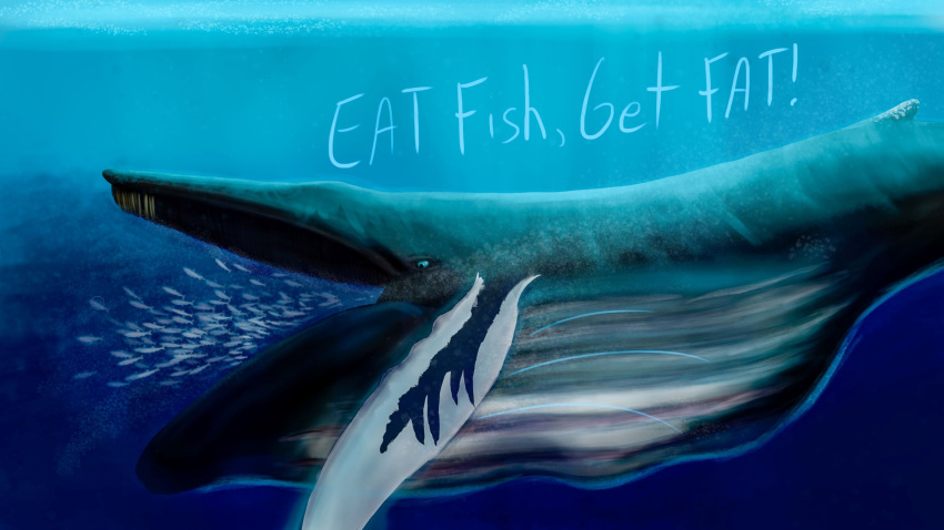 baleen_whale cetacean clothing eating expansion feral fish hi_res humpback_whale jabirucrocuta lunge male mammal marine open_mouth oral_vore sea solo swallowing text underwear vore water